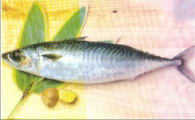 Ή摜